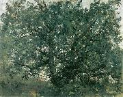 Der Eichbaum Lovis Corinth